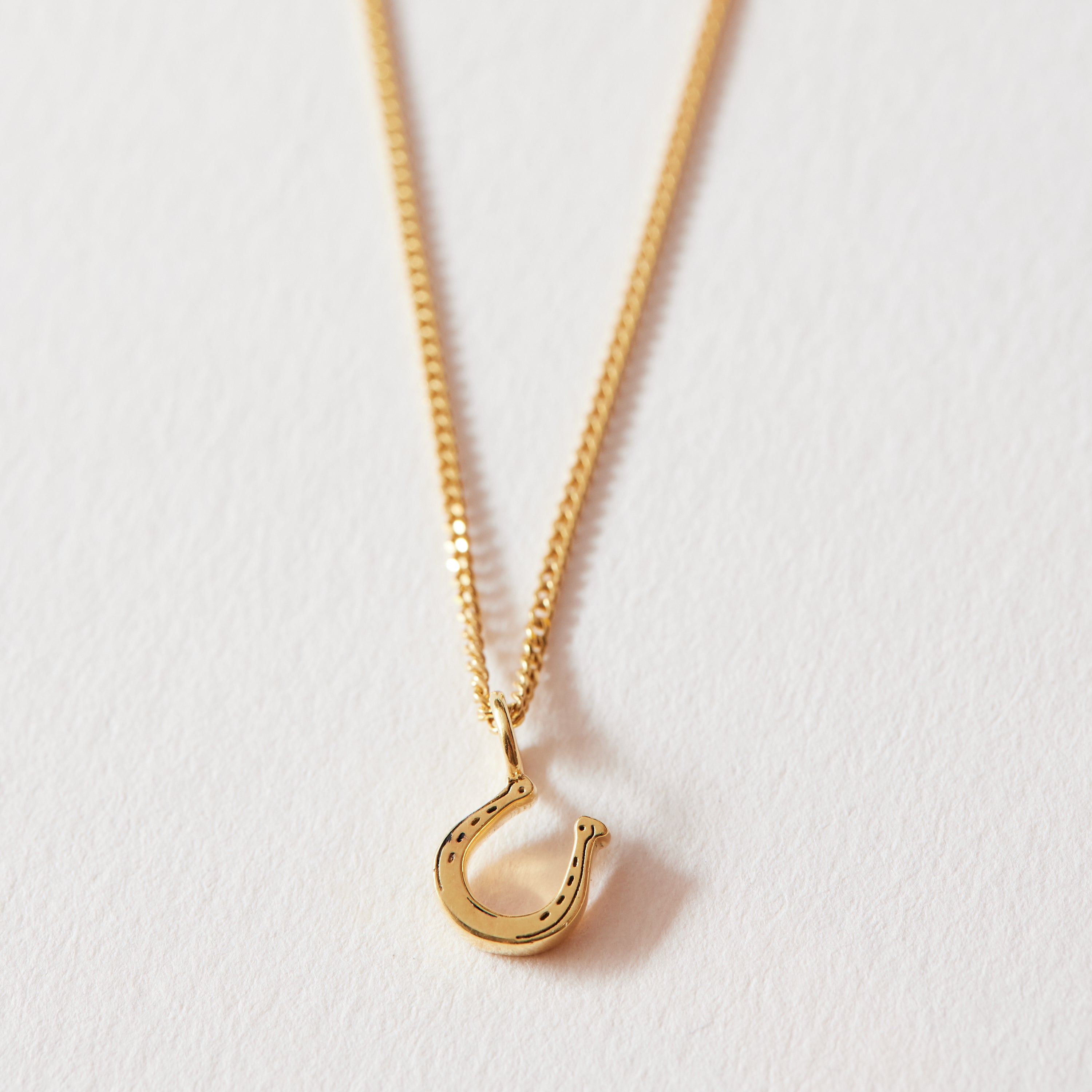 Tiny Horseshoe Necklace