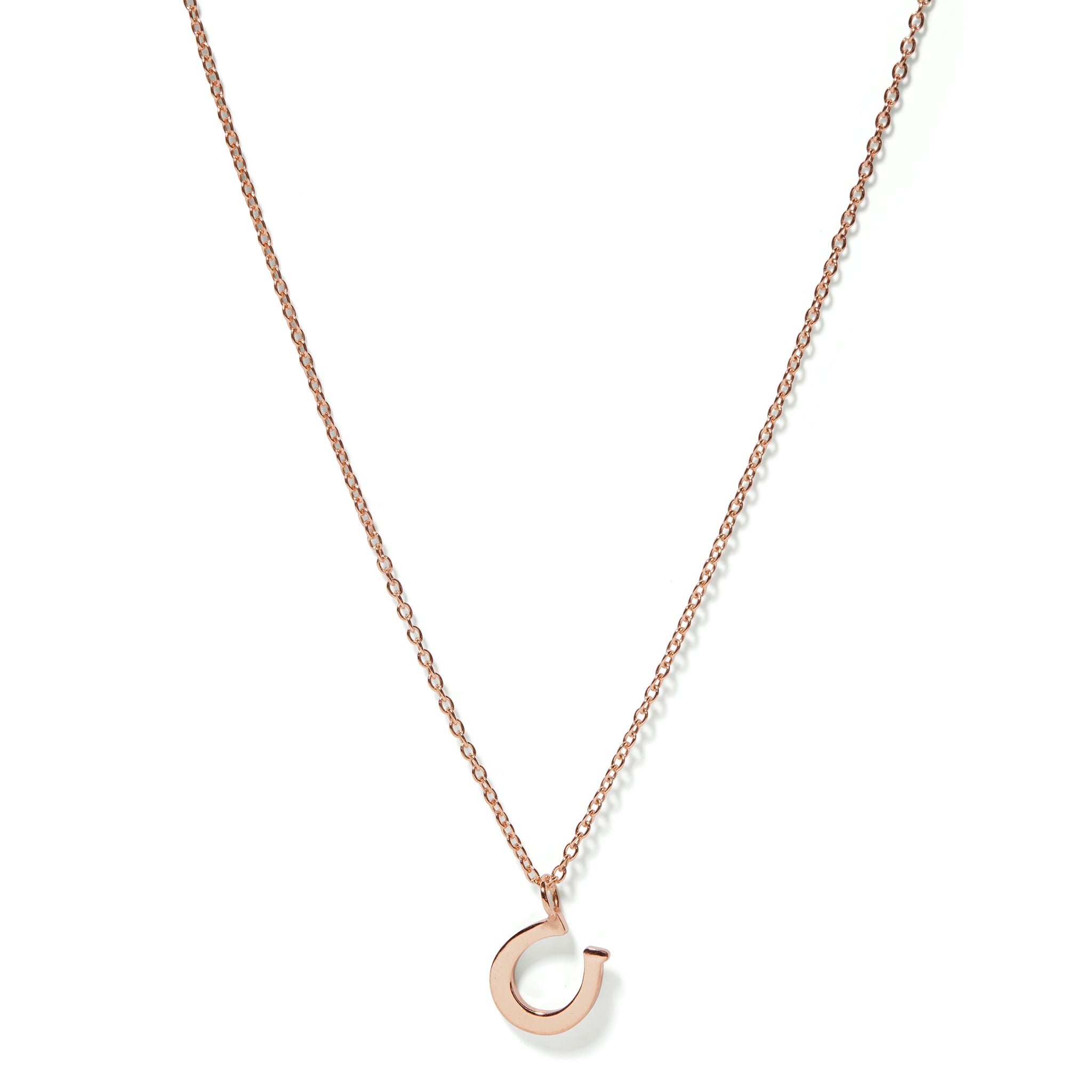 Cartier 2024 horseshoe necklace